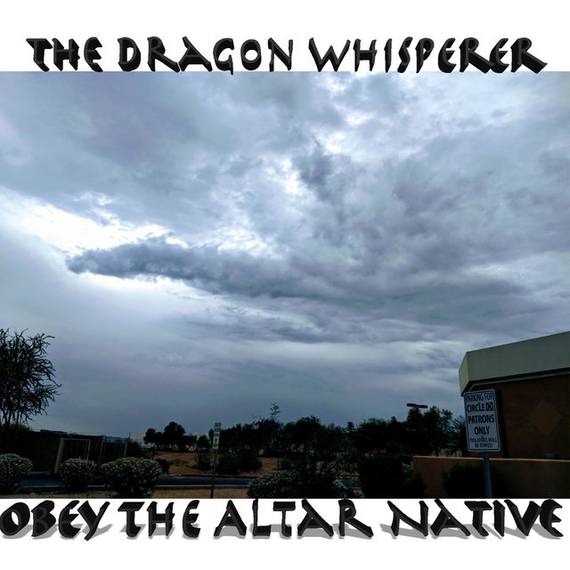 The Dragon Whisperer