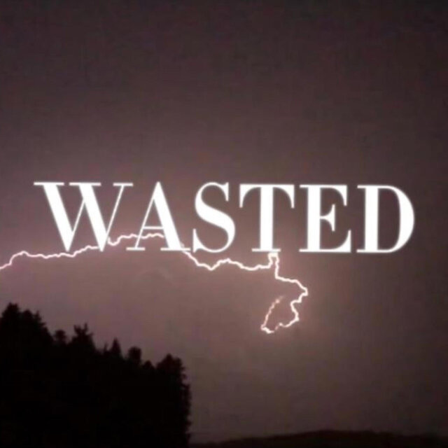 WASTED