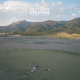 Cover art for album Crestone (Original Score) by Animal Collective