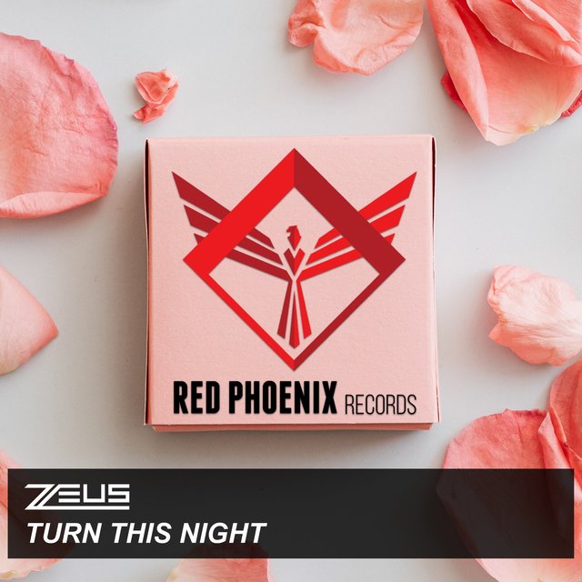 Turn This Night