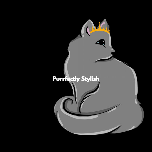 Purrfectly Stylish