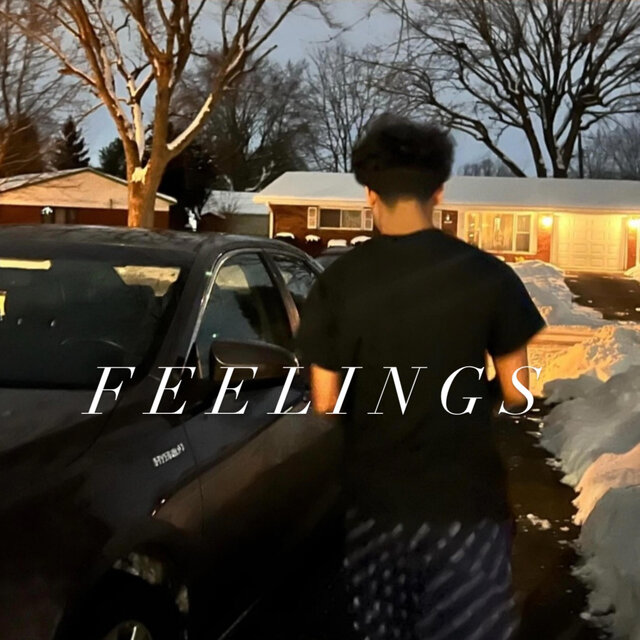 Feelings