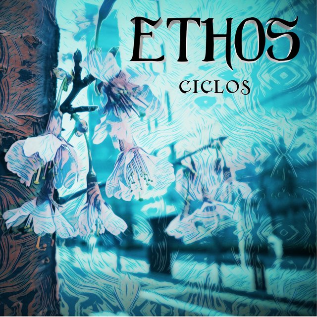 Ciclos