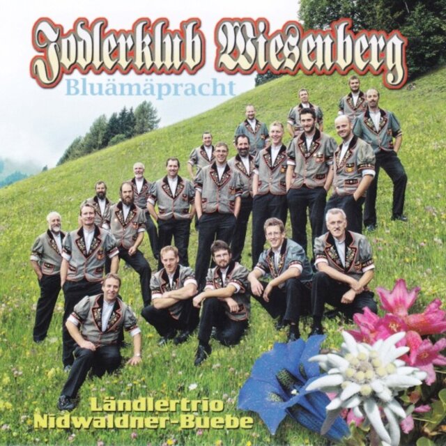 Bluämäpracht