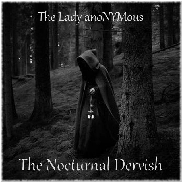 The Nocturnal Dervish