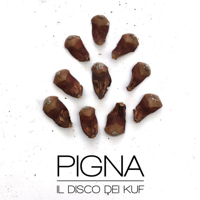 Pigna