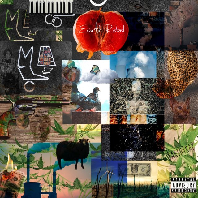 EarthTrap
