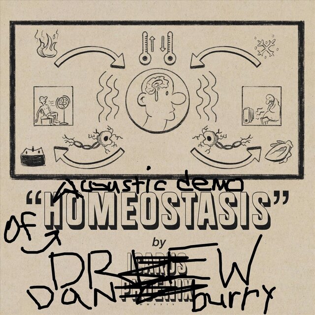 Homeostasis (Acoustic Demo)