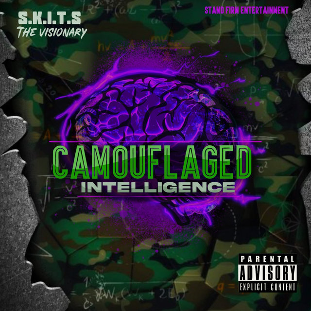 CAMOUFLAGED INTELLIGENCE