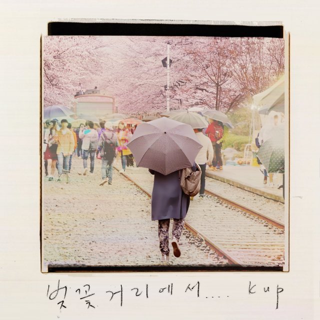 벚꽃거리에서