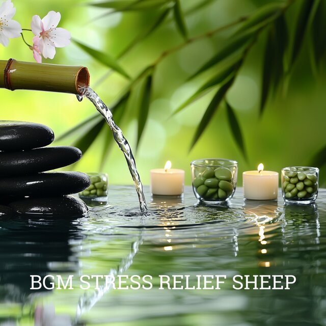 Stress Relief Sheep: Calming Sounds for Relaxation