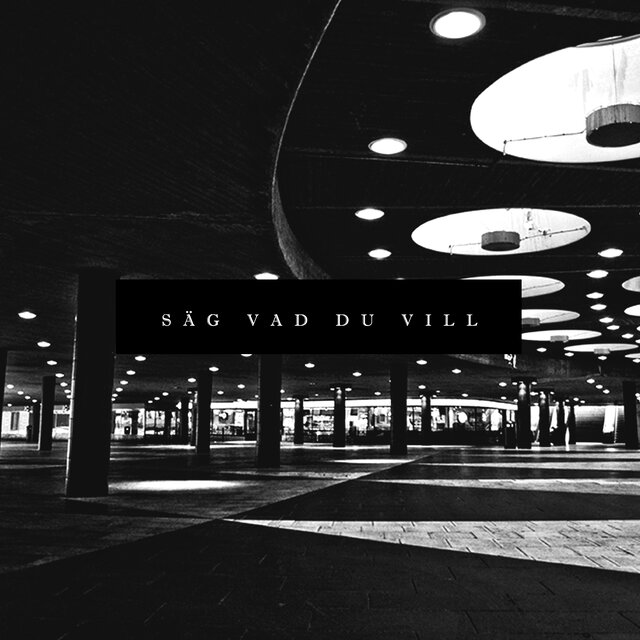 SÄG VAD DU VILL