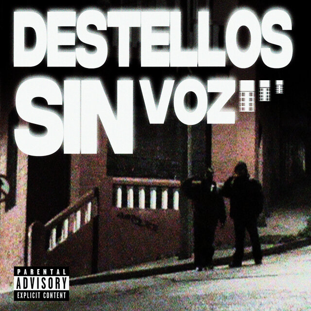Destellos Sin Voz