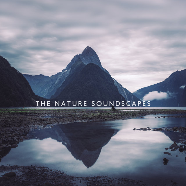 The Nature Soundscapes