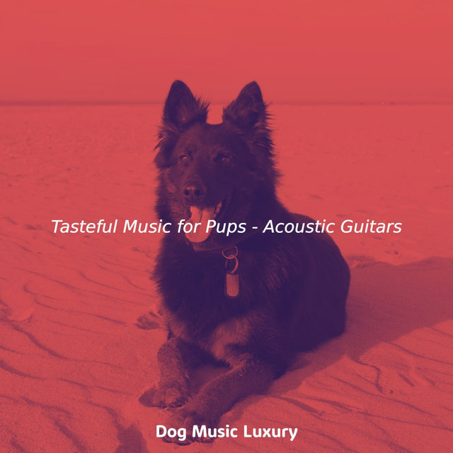 Tasteful Music for Pups - Acoustic Guitars