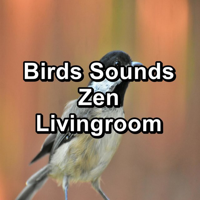 Birds Sounds Zen Livingroom