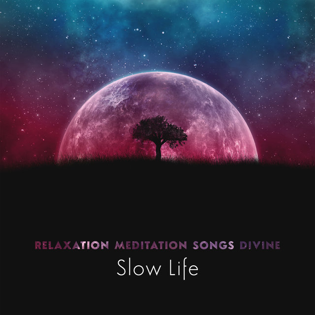 Relaxation Meditation Songs Divine: Slow Life - Soothing Nature Sounds for Calming, Buddha Healing Bar, Relaxing Music Oasis