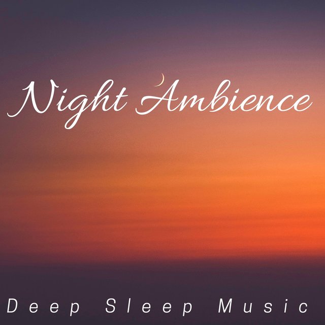 Night Ambience - Deep Sleep Music, Absolutely Relaxing Tracks to Get a Good Night's Sleep