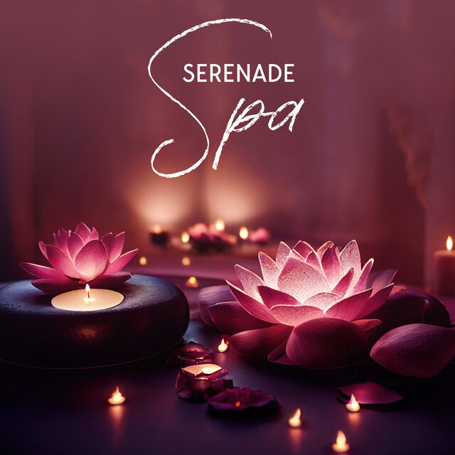 Spa Serenade: Healing Melodies for Beauty and Tranquility