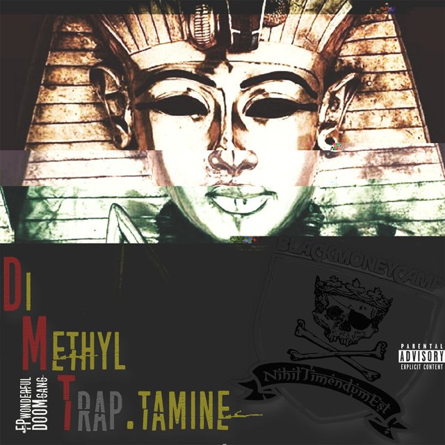 Di Methyl Traptamine
