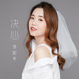 决心