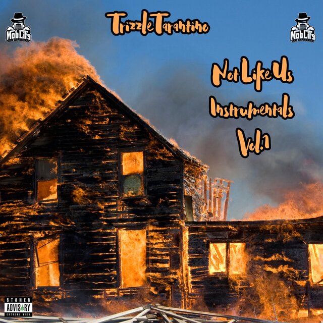 Not Like Us Instrumentals, Vol. 1