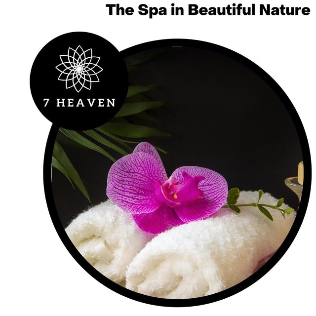The Spa In Beautiful Nature