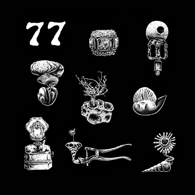 77: A Brief Landing on the Earth's Surface