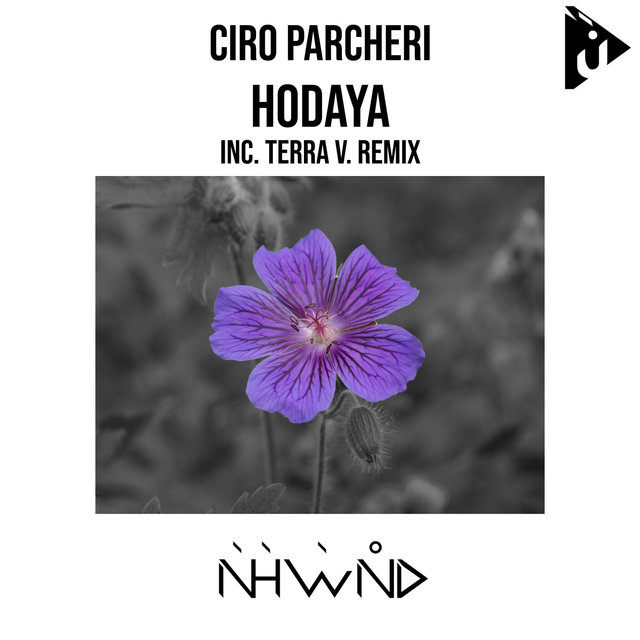 Hodaya