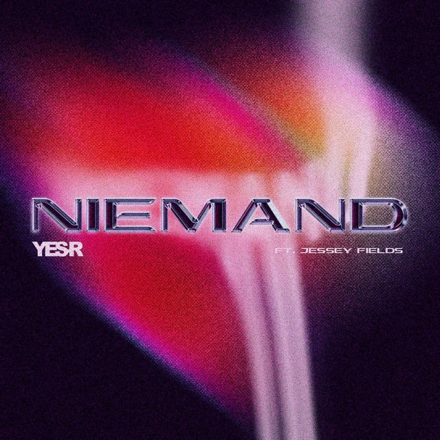 Niemand (feat. Jessey Fields)