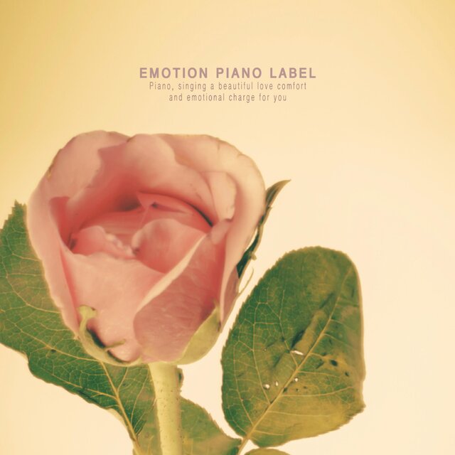 A collection of emotional piano pieces with tears