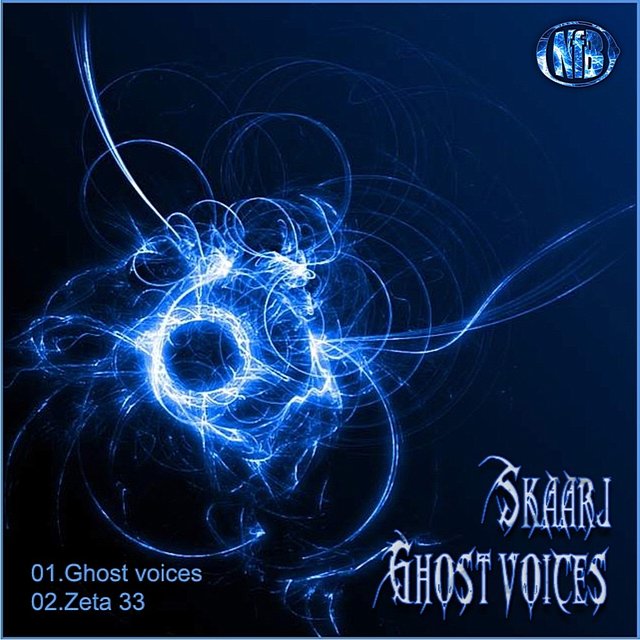 Ghost Voices