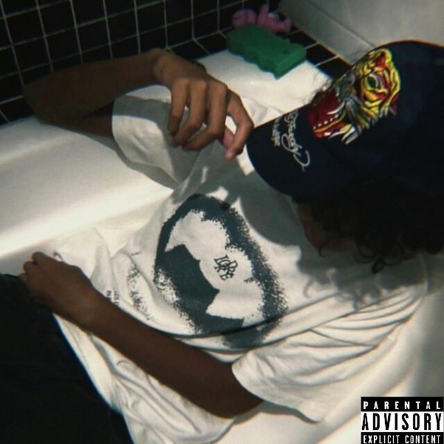EVSMN, Vol. 1