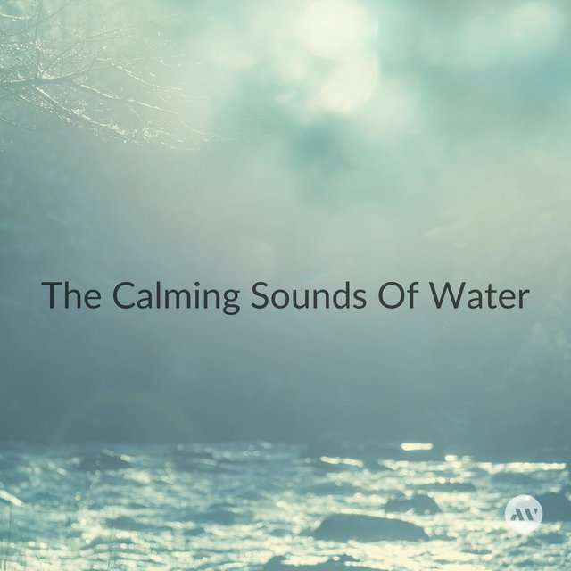 The Calming Sounds Of Water