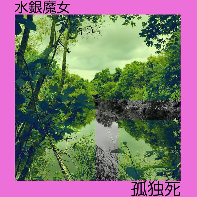 Kodokushi