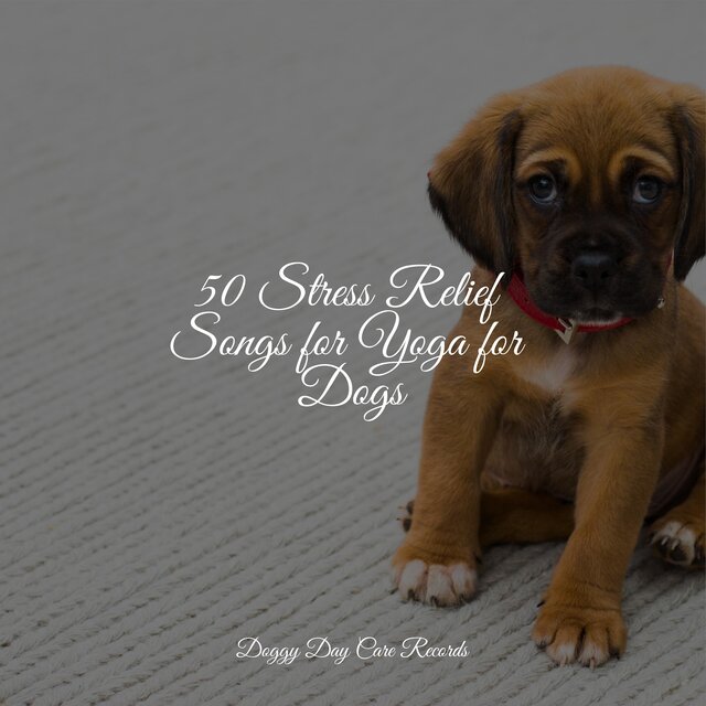 50 Stress Relief Songs for Yoga for Dogs