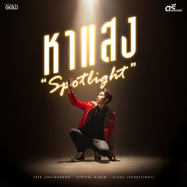หาแสง (Spotlight)