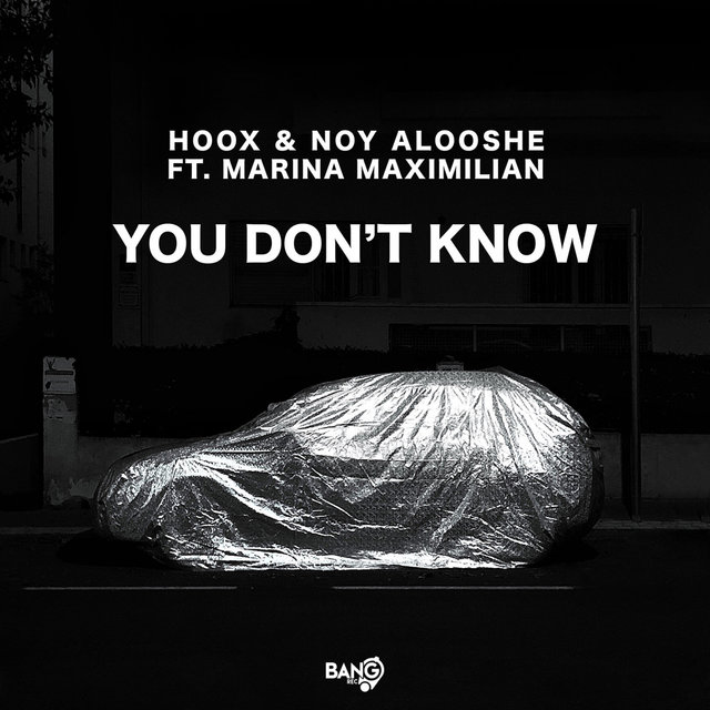 You Don’t Know (feat. Marina Maximilian)