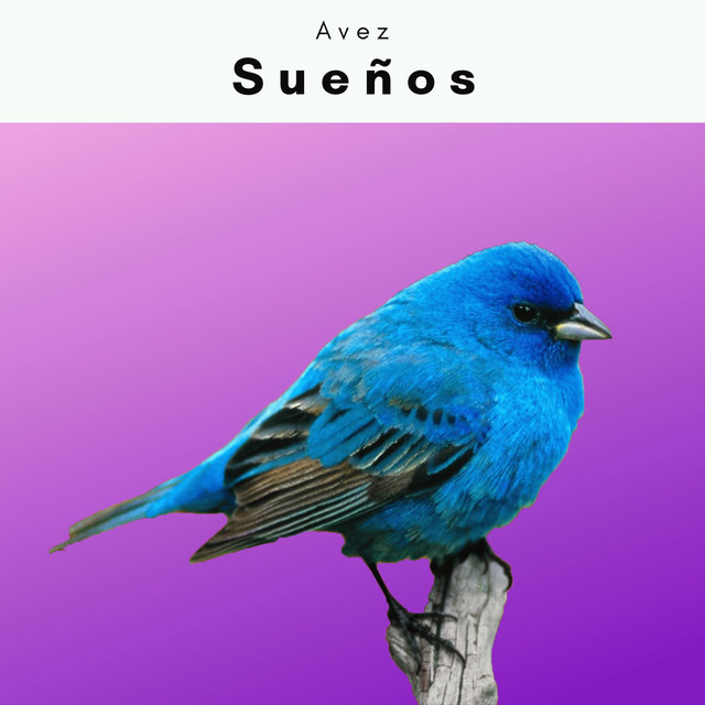 A Sueños