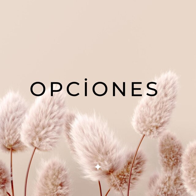 Opciones