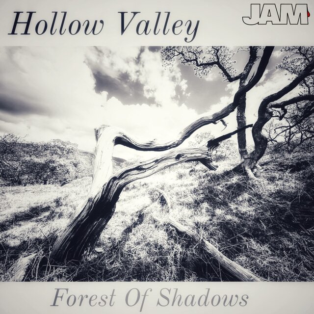 Forest of Shadows