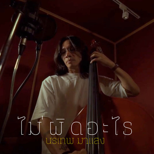 ไม่ผิดอะไร