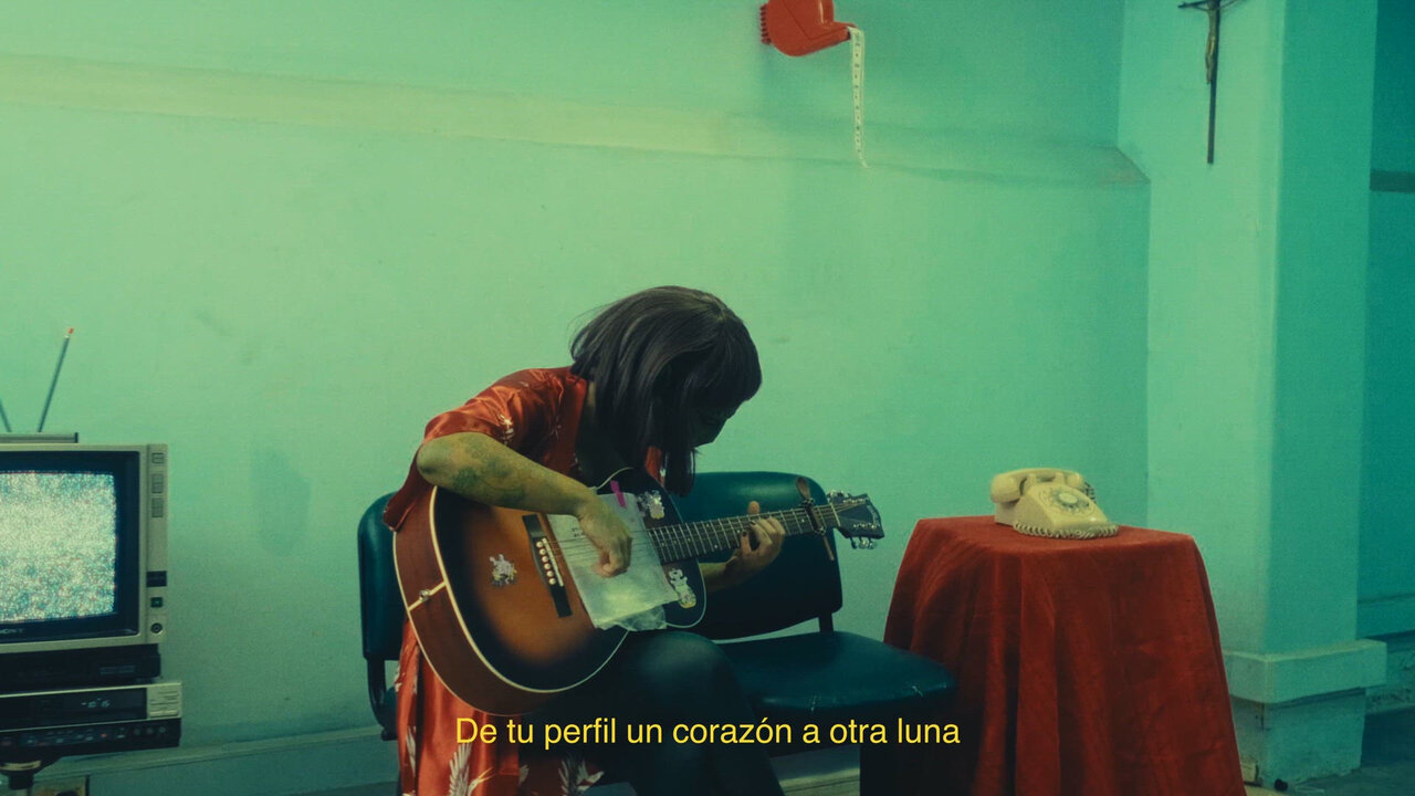 Manflorita ♡