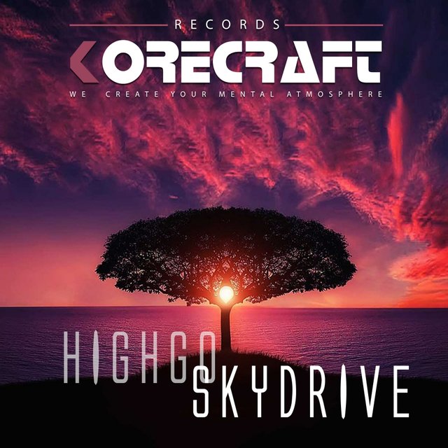 Skydrive