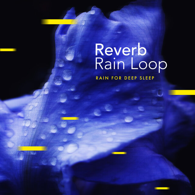 Reverb Rain Loop