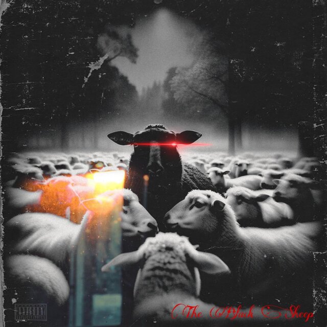 The Black Sheep