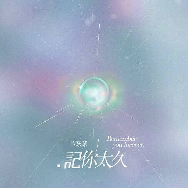记你太久