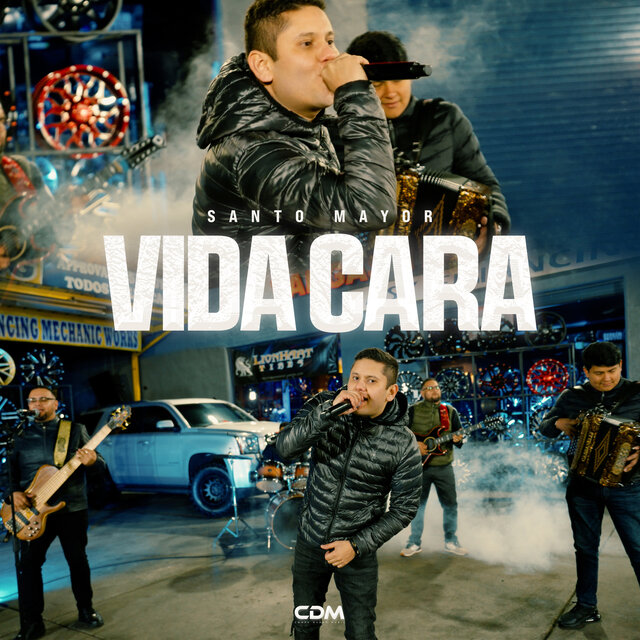 Vida Cara