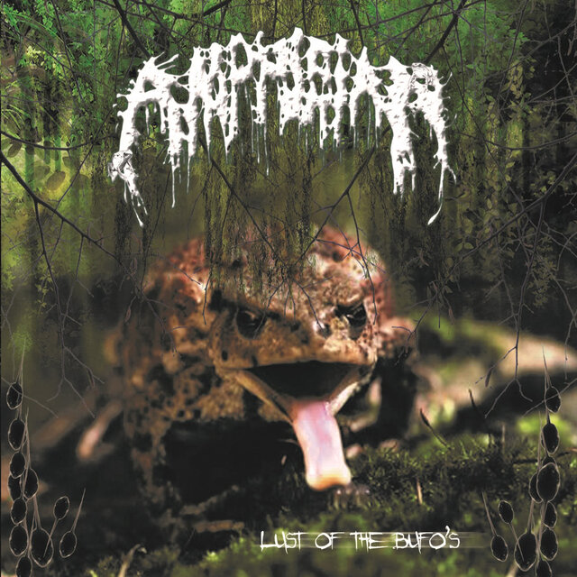 Amphibian - Lust of the bufo's