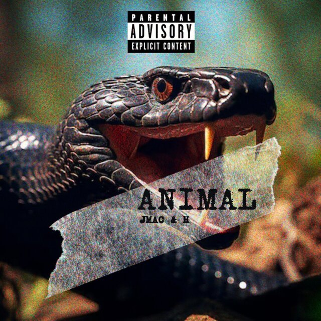 Animal